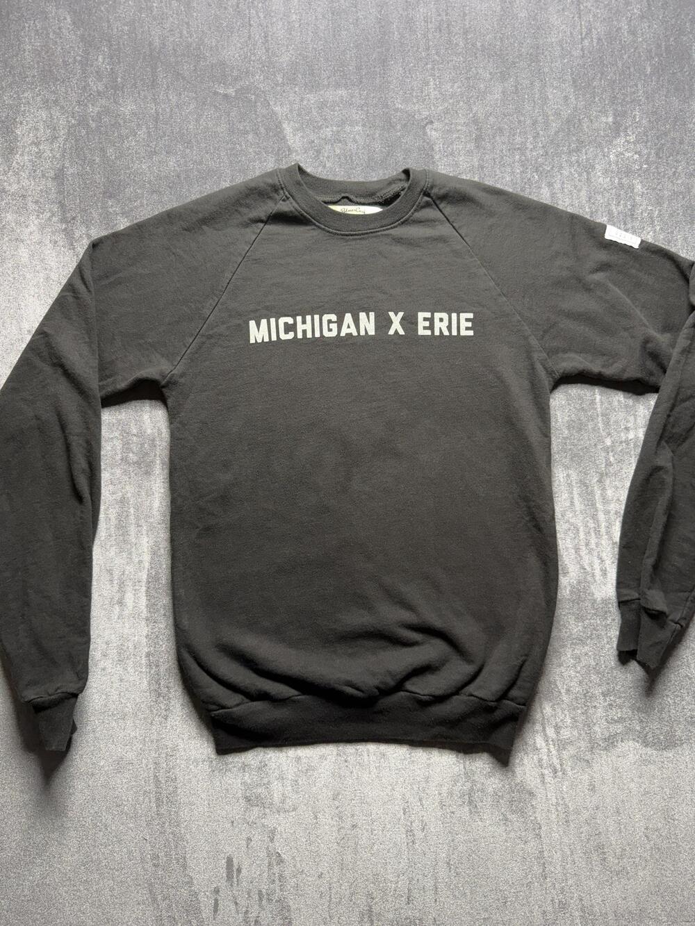PalmerCash Sweatshirt Mens XS Gray Michigan X Erie Starbucks Reserve Fleece